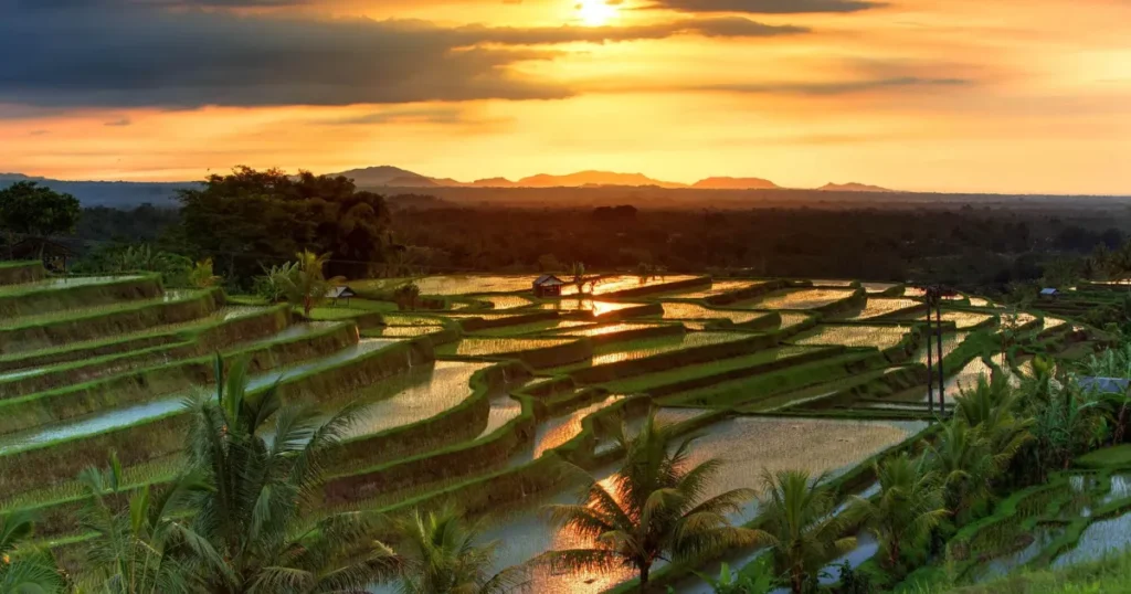 Travel Without the Hassle