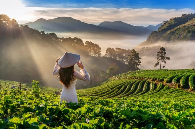 Vietnam North & Central Explorer