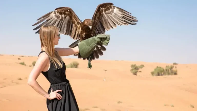Royal Emirates Escape
